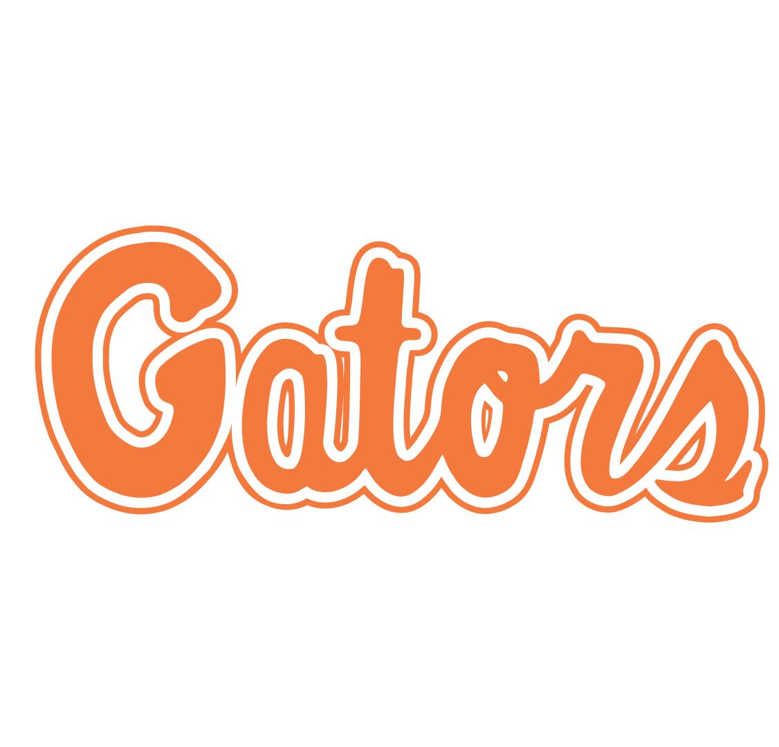 Florida Gators 1979-Pres Wordmark Logo v5 iron on transfers for T-shirts